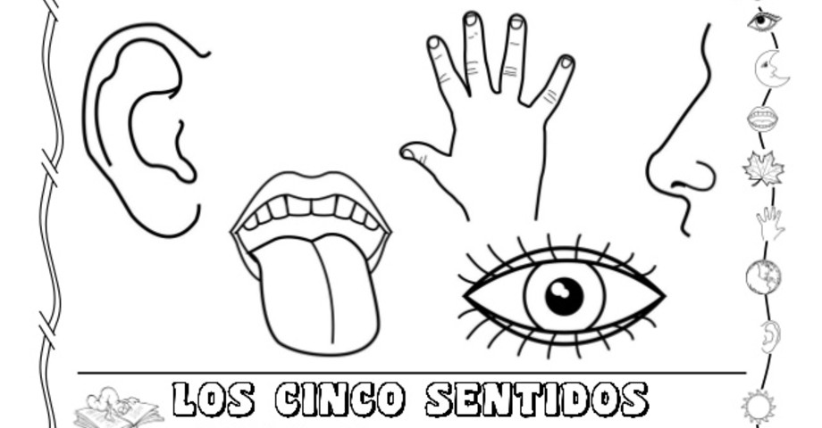 Los 5 Sentidos Para Niños Maestra De Inicial